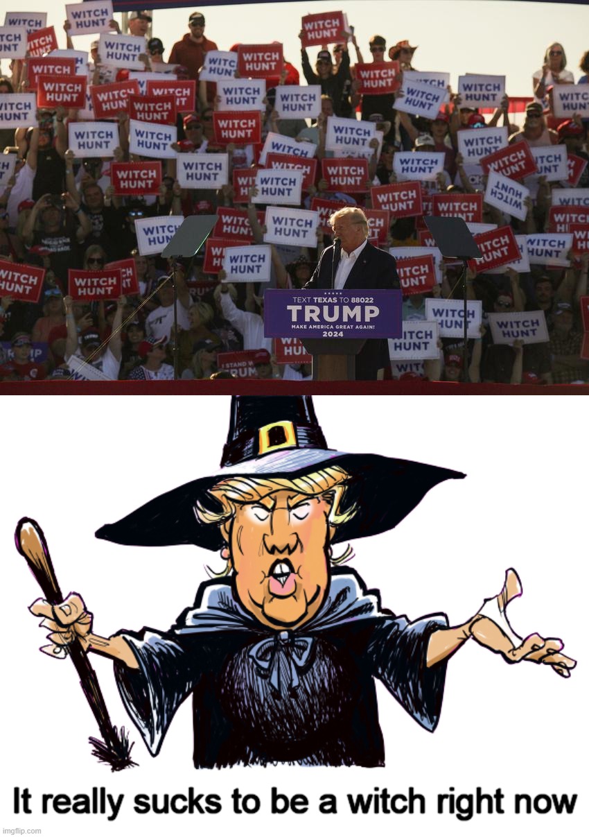 witch hunt... | image tagged in wicked,witch hunt,trump,sucks,witch,burn | made w/ Imgflip meme maker