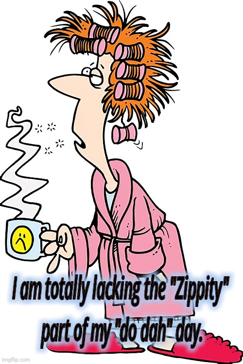 Lost My Zippity Do Dah! | image tagged in funny,tired,exhausted | made w/ Imgflip meme maker