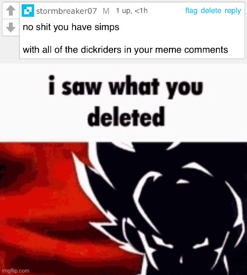 . | image tagged in i saw what you deleted | made w/ Imgflip meme maker
