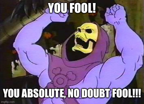 You Fool Skeletor | YOU FOOL! YOU ABSOLUTE, NO DOUBT FOOL!!! | image tagged in you fool skeletor | made w/ Imgflip meme maker