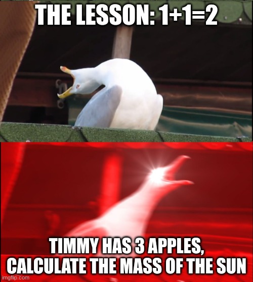 Screaming goose | THE LESSON: 1+1=2; TIMMY HAS 3 APPLES, CALCULATE THE MASS OF THE SUN | image tagged in screaming goose | made w/ Imgflip meme maker