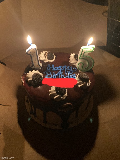 my birthday cake when i turned 15 this month - Imgflip