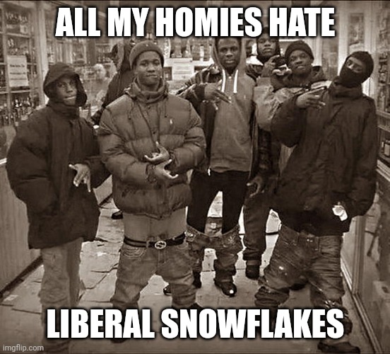 All My Homies Hate | ALL MY HOMIES HATE; LIBERAL SNOWFLAKES | image tagged in all my homies hate | made w/ Imgflip meme maker