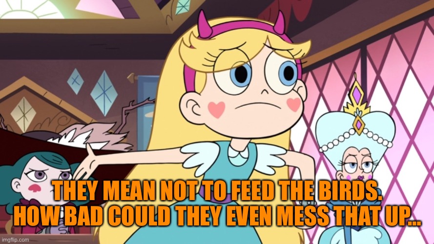 Star Explaining | THEY MEAN NOT TO FEED THE BIRDS. HOW BAD COULD THEY EVEN MESS THAT UP… | image tagged in star explaining | made w/ Imgflip meme maker