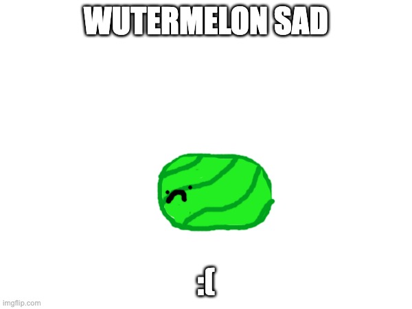 WUTERMELON SAD; :( | made w/ Imgflip meme maker