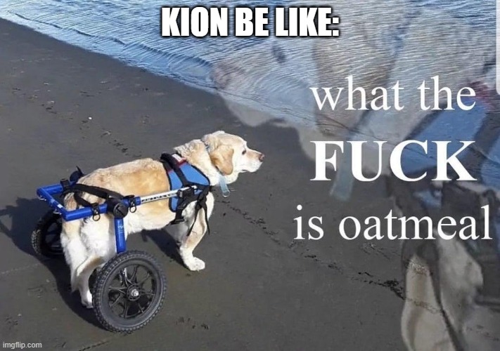 What the f**k is oatmeal | KION BE LIKE: | image tagged in what the f k is oatmeal | made w/ Imgflip meme maker