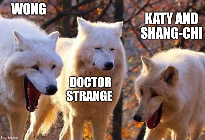 Doctor Strange would wear that kind of an expression on his face in that situation | KATY AND SHANG-CHI; WONG; DOCTOR STRANGE | image tagged in laughing wolf | made w/ Imgflip meme maker