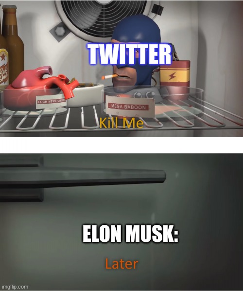 Hes done it again folks this time you wont see unverified accounts on the for you page (This isant a joke) | TWITTER; ELON MUSK: | image tagged in kill me | made w/ Imgflip meme maker