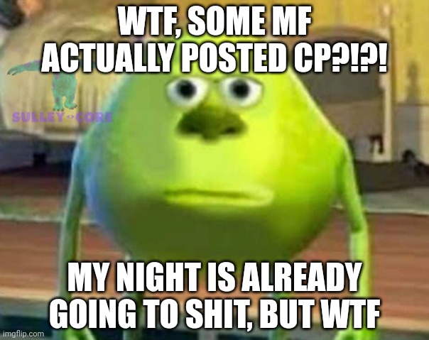 Also, L new rule | WTF, SOME MF ACTUALLY POSTED CP?!?! MY NIGHT IS ALREADY GOING TO SHIT, BUT WTF | image tagged in monsters inc | made w/ Imgflip meme maker
