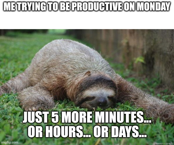 Sleeping sloth | ME TRYING TO BE PRODUCTIVE ON MONDAY; JUST 5 MORE MINUTES... OR HOURS... OR DAYS... | image tagged in sleeping sloth | made w/ Imgflip meme maker