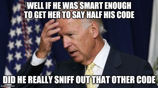 Joe Biden worries | WELL IF HE WAS SMART ENOUGH TO GET HER TO SAY HALF HIS CODE; DID HE REALLY SNIFF OUT THAT OTHER CODE | image tagged in joe biden worries,epstein,harris | made w/ Imgflip meme maker