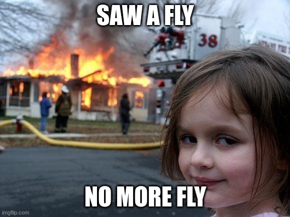 Disaster Girl Meme | SAW A FLY; NO MORE FLY | image tagged in memes,disaster girl | made w/ Imgflip meme maker