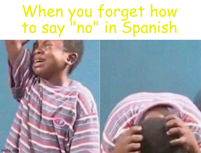 NNNOOOOOOOOOOOOOO | When you forget how to say "no" in Spanish | image tagged in crying black kid | made w/ Imgflip meme maker