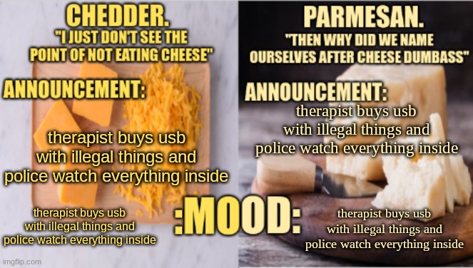 Chedder.+ Parmesan.'s Temp | therapist buys usb with illegal things and police watch everything inside; therapist buys usb with illegal things and police watch everything inside; therapist buys usb with illegal things and police watch everything inside; therapist buys usb with illegal things and police watch everything inside | image tagged in chedder parmesan 's temp | made w/ Imgflip meme maker