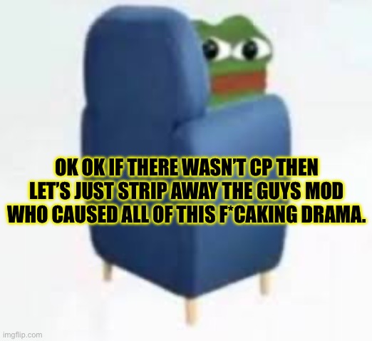 LETS DO IT | OK OK IF THERE WASN’T CP THEN LET’S JUST STRIP AWAY THE GUYS MOD WHO CAUSED ALL OF THIS F*CAKING DRAMA. | image tagged in wtf you looking at | made w/ Imgflip meme maker