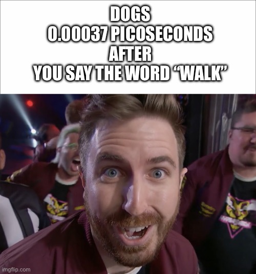 DOGS 0.00037 PICOSECONDS AFTER YOU SAY THE WORD “WALK” | image tagged in will bales surprised | made w/ Imgflip meme maker