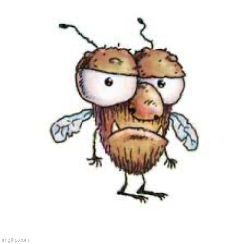 mad fly guy | image tagged in mad fly guy | made w/ Imgflip meme maker