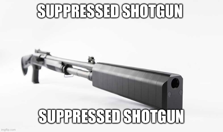 Suppressed shotgun | SUPPRESSED SHOTGUN; SUPPRESSED SHOTGUN | image tagged in wait what,funny | made w/ Imgflip meme maker