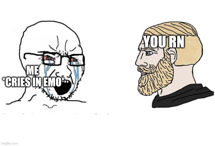 Soyboy Vs Yes Chad | YOU RN ME 
*CRIES IN EMO* | image tagged in soyboy vs yes chad | made w/ Imgflip meme maker