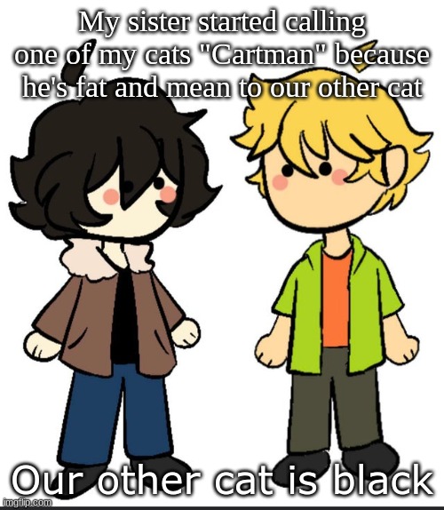 Nic an Wil | My sister started calling one of my cats "Cartman" because he's fat and mean to our other cat; Our other cat is black | image tagged in nic an wil | made w/ Imgflip meme maker