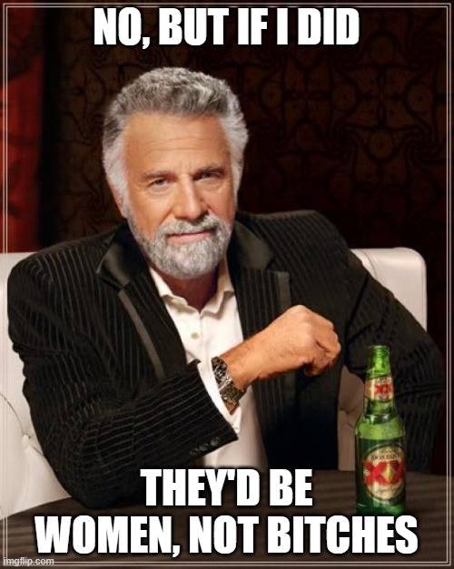 The Most Interesting Man In The World Meme | NO, BUT IF I DID THEY'D BE WOMEN, NOT BITCHES | image tagged in memes,the most interesting man in the world | made w/ Imgflip meme maker