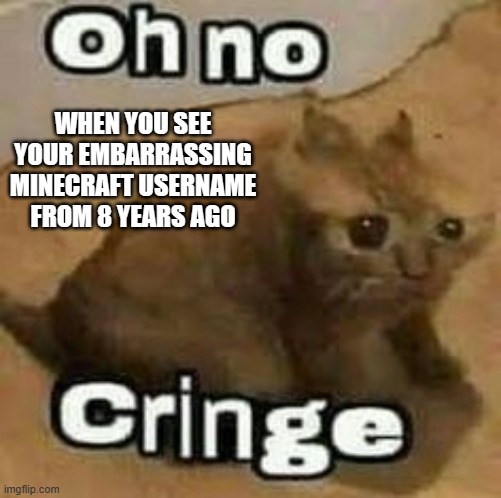 oH No CrIngE | WHEN YOU SEE YOUR EMBARRASSING MINECRAFT USERNAME FROM 8 YEARS AGO | image tagged in oh no cringe | made w/ Imgflip meme maker