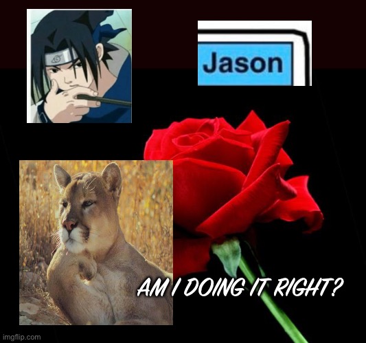 rose | AM I DOING IT RIGHT? | image tagged in rose | made w/ Imgflip meme maker