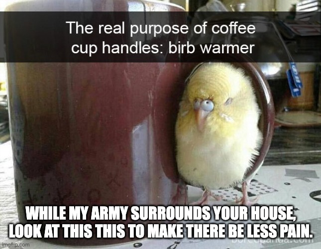 We are surrounding your house. Love, the birbs. | WHILE MY ARMY SURROUNDS YOUR HOUSE, LOOK AT THIS THIS TO MAKE THERE BE LESS PAIN. | made w/ Imgflip meme maker
