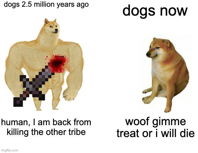 Buff Doge vs. Cheems Meme | dogs 2.5 million years ago; dogs now; human, I am back from killing the other tribe; woof gimme treat or i will die | image tagged in memes,buff doge vs cheems | made w/ Imgflip meme maker