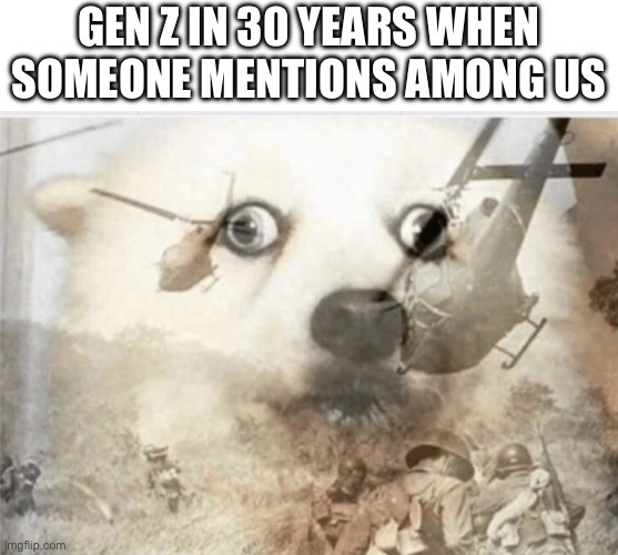 PTSD dog | GEN Z IN 30 YEARS WHEN SOMEONE MENTIONS AMONG US | image tagged in ptsd dog | made w/ Imgflip meme maker