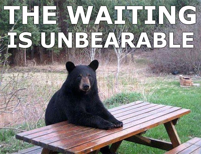 The Waiting Is Unbearable | image tagged in bear,bears,waiting,imgflip,memes,picnic table | made w/ Imgflip meme maker