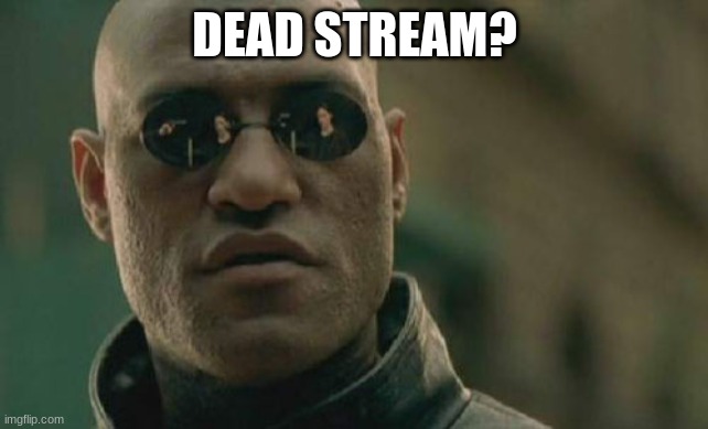 Matrix Morpheus | DEAD STREAM? | image tagged in memes,matrix morpheus | made w/ Imgflip meme maker