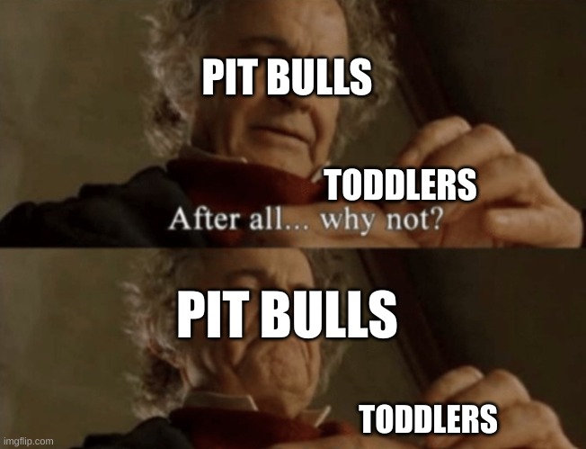 After all.. why not? | PIT BULLS; TODDLERS; PIT BULLS; TODDLERS | image tagged in after all why not | made w/ Imgflip meme maker