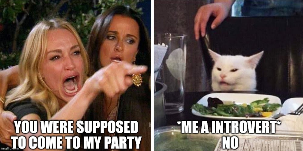 Smudge the cat | YOU WERE SUPPOSED TO COME TO MY PARTY; *ME A INTROVERT*
 NO | image tagged in smudge the cat | made w/ Imgflip meme maker