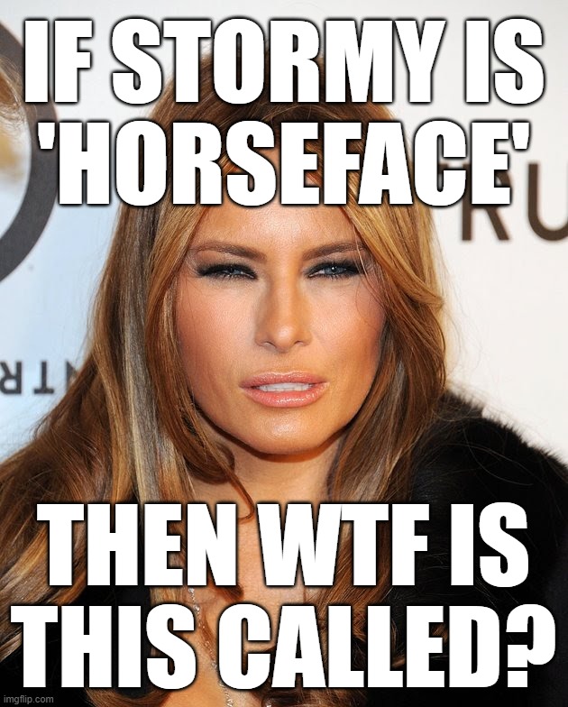 do tell... SIGH. gotta post here bc some mods are fucking dildos, they think things that arent actually happening... | IF STORMY IS
'HORSEFACE'; THEN WTF IS THIS CALLED? | image tagged in yikes,wtf is that,alien | made w/ Imgflip meme maker