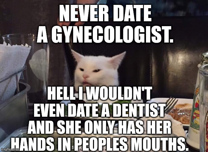 NEVER DATE A GYNECOLOGIST. HELL I WOULDN'T EVEN DATE A DENTIST AND SHE ONLY HAS HER HANDS IN PEOPLES MOUTHS. | image tagged in smudge the cat | made w/ Imgflip meme maker