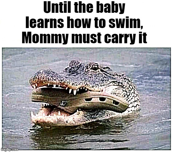 Some of these memes are educational. lol | Until the baby learns how to swim, Mommy must carry it | image tagged in animal kingdom,crocs | made w/ Imgflip meme maker