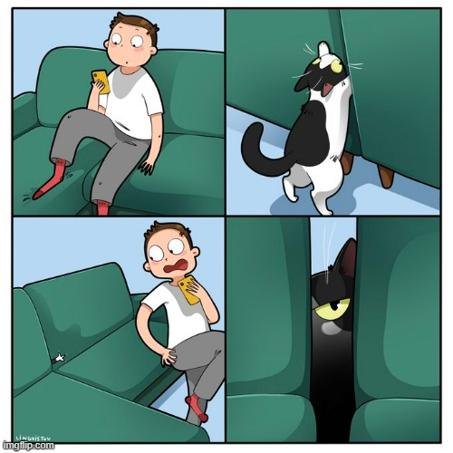 A Cat Guy's Way Of Thinking | image tagged in memes,comics/cartoons,cats,secret,couch,attack | made w/ Imgflip meme maker