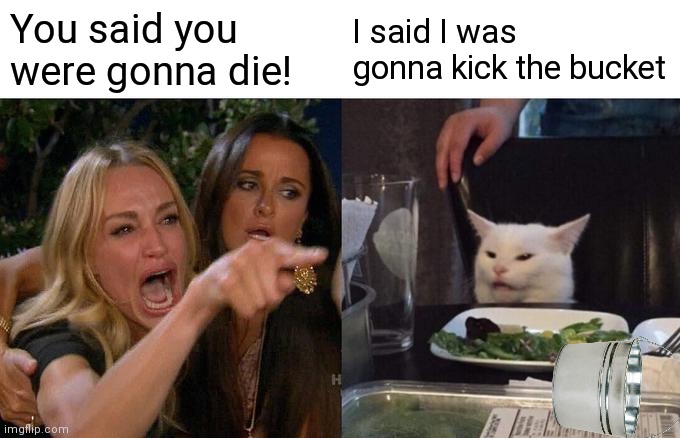 Woman Yelling At Cat | You said you were gonna die! I said I was gonna kick the bucket | image tagged in memes,woman yelling at cat,bucket | made w/ Imgflip meme maker