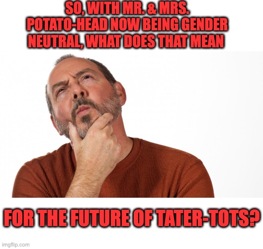 Hmm | SO, WITH MR. & MRS. POTATO-HEAD NOW BEING GENDER NEUTRAL, WHAT DOES THAT MEAN; FOR THE FUTURE OF TATER-TOTS? | image tagged in hmmm | made w/ Imgflip meme maker