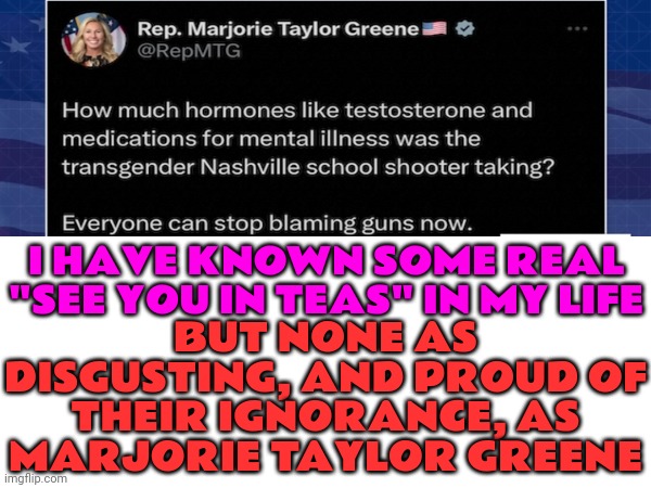 No One's Blaming Guns Marj.  They're Blaming YOU And Your Ultra Mega MAGA Christian Nationalist Domestic Terrorist Party | BUT NONE AS DISGUSTING, AND PROUD OF THEIR IGNORANCE, AS
MARJORIE TAYLOR GREENE; I HAVE KNOWN SOME REAL "SEE YOU IN TEAS" IN MY LIFE | image tagged in memes,gun control,gun laws,gun violence,scumbag republicans,common sense gun laws | made w/ Imgflip meme maker