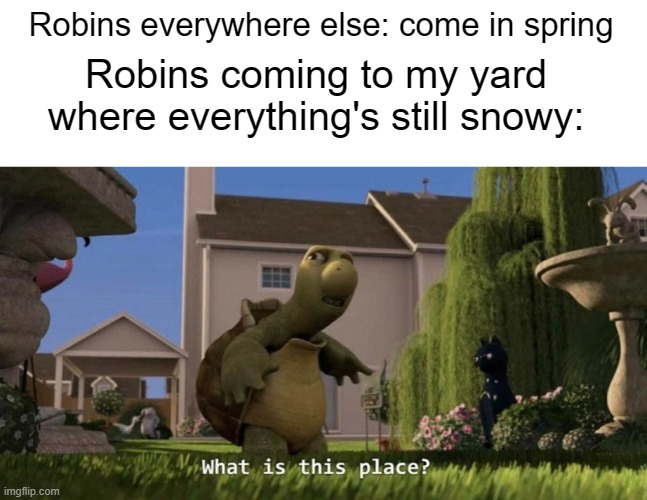 I live in Canada, and we're apparently supposed to get MORE snow on Friday. |  Robins everywhere else: come in spring; Robins coming to my yard where everything's still snowy: | image tagged in what is this place | made w/ Imgflip meme maker