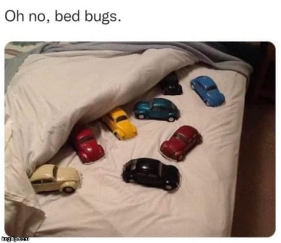 Bugs | image tagged in bad pun | made w/ Imgflip meme maker