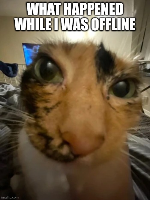 Jonquavius John Jingle Jang Joogle Gloop the 3rd | WHAT HAPPENED WHILE I WAS OFFLINE | image tagged in jonquavius john jingle jang joogle gloop the 3rd | made w/ Imgflip meme maker