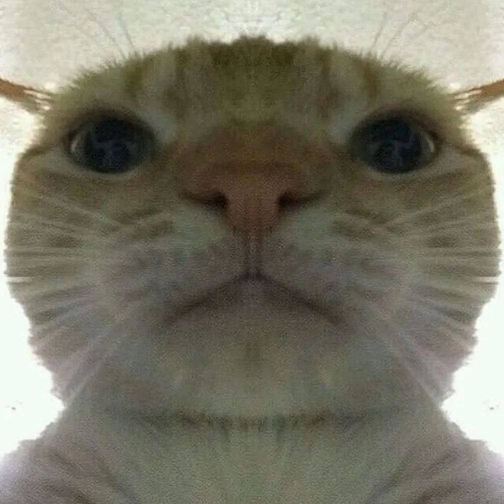 High Quality scemer Blank Meme Template