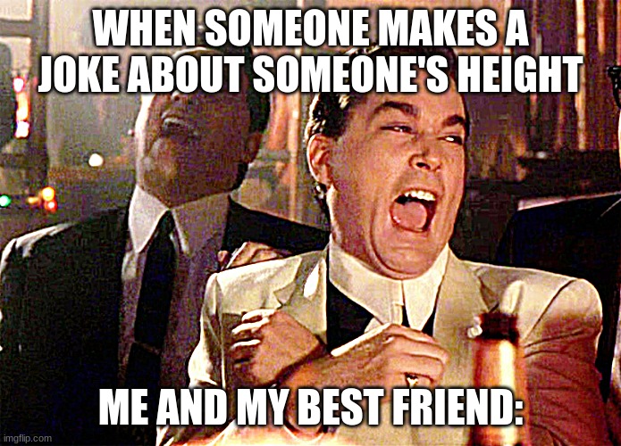 Happens all the time during school | WHEN SOMEONE MAKES A JOKE ABOUT SOMEONE'S HEIGHT; ME AND MY BEST FRIEND: | image tagged in memes,good fellas hilarious,bad joke,not funny,real life | made w/ Imgflip meme maker