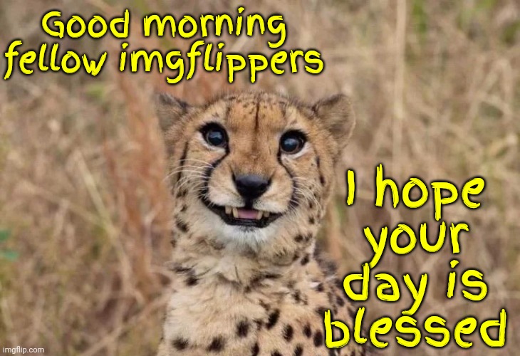 Good Morning!  Hope You Have A Blessed Day | Good morning fellow imgflippers; I hope your day is blessed | image tagged in smiling cheetah,blessed,have a blessed day,good morning,have a nice day,memes | made w/ Imgflip meme maker