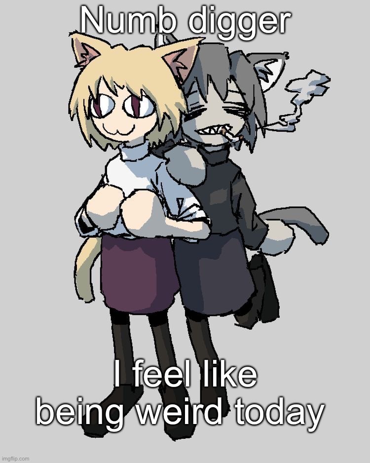 Neco arc and chaos neco arc | Numb digger; I feel like being weird today | image tagged in neco arc and chaos neco arc | made w/ Imgflip meme maker