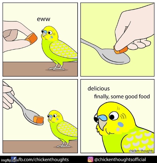 Birb comic: spoon | image tagged in birb,comics | made w/ Imgflip meme maker