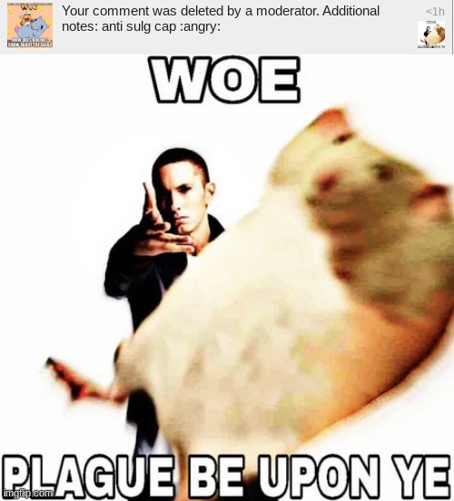 image tagged in woe plague be upon ye | made w/ Imgflip meme maker